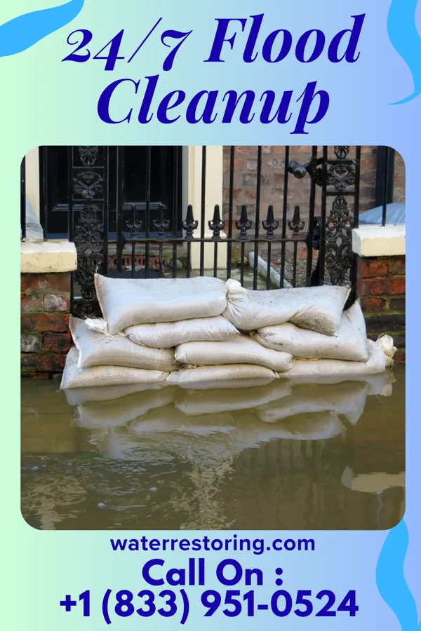 24/7 Flood Cleanup in Pittsfield, IL