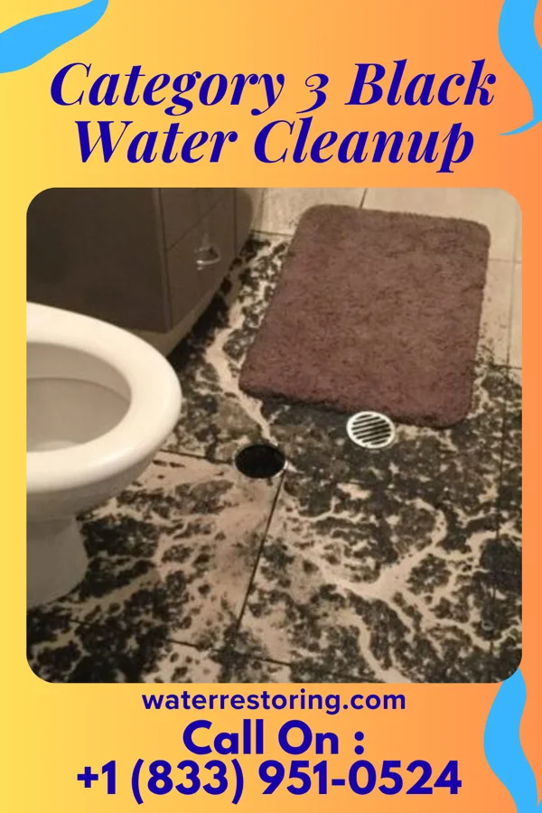 Category 3 Black Water Cleanup in Pittsfield, IL