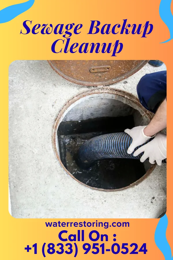 Sewage Backup Cleanup in Pittsfield, IL
