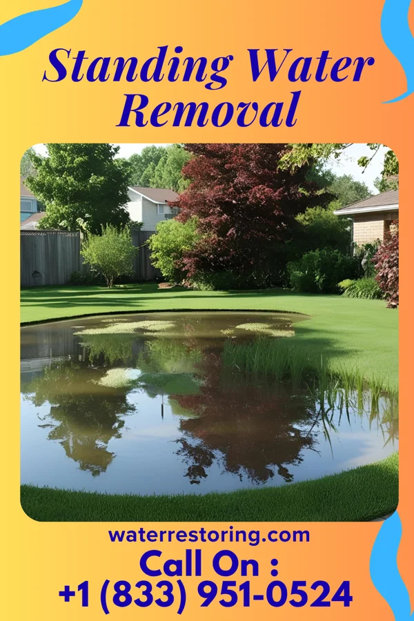 Standing Water Removal in Pittsfield, IL